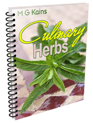 CulinaryHerbs-cover