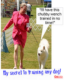 Dog Training Secrets