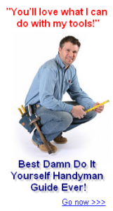 Best Damn Handyman Guide