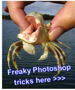 Tips and Tricks for Photoshop