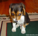View the album Funny Pics