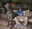 George the Dog 1 