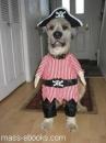View the album Animal Pics